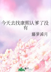 (清穿同人)今天去找康熙认爹了没有