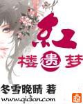（红楼梦同人）红楼遗梦